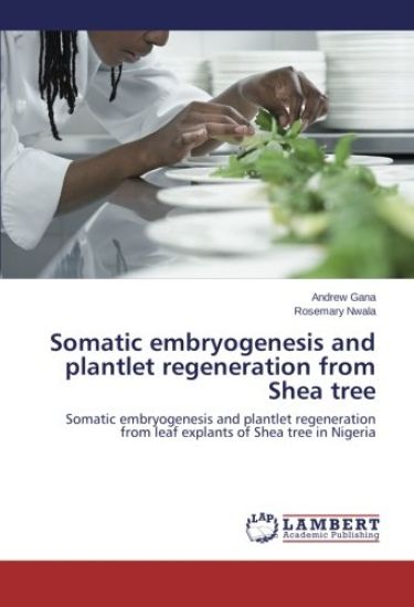 Somatic embryogenesis and plantlet regeneration from Shea tree
