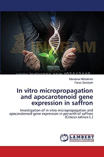 In vitro micropropagation and apocarotenoid gene expression in saffron