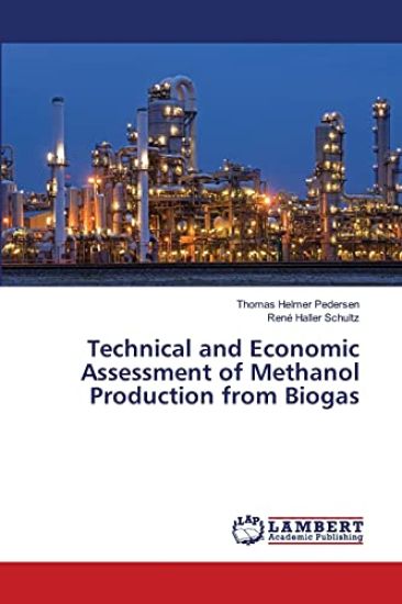 Technical and Economic Assessment of Methanol Production from Biogas
