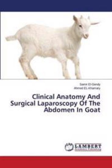Clinical Anatomy and Surgical Laparoscopy of the Abdomen in Goat