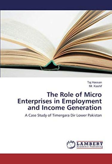 The Role of Micro Enterprises in Employment and Income Generation