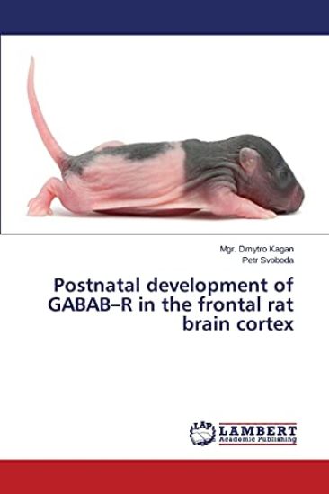 Postnatal development of GABAB-R in the frontal rat brain cortex