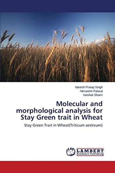 Molecular and morphological analysis for Stay Green trait in Wheat