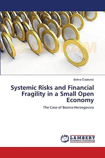 Systemic Risks and Financial Fragility in a Small Open Economy