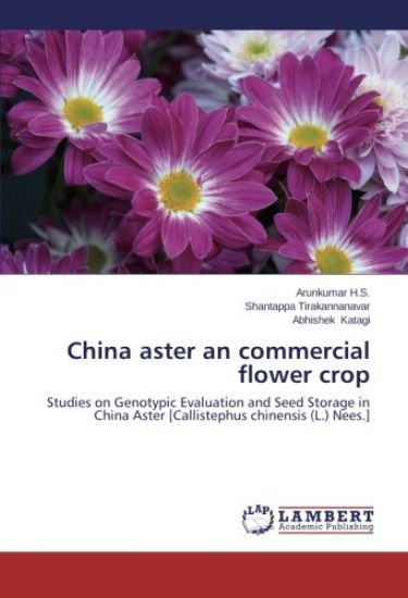 China aster an commercial flower crop