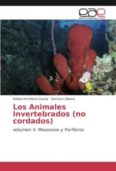 Los Animales Invertebrados (no cordados)