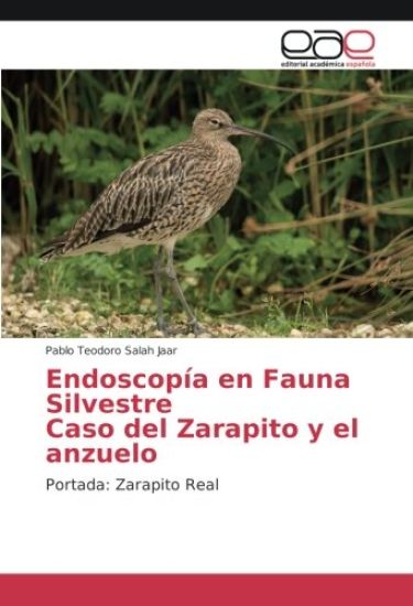 Endoscopía en Fauna Silvestre Caso del Zarapito y el anzuelo