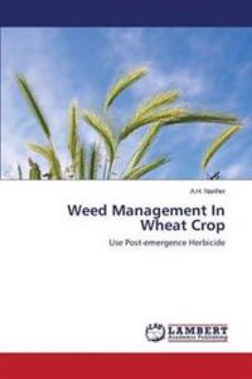 Weed Management In Wheat Crop
