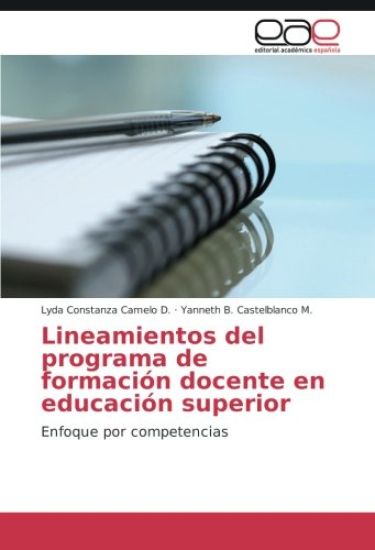 Lineamientos del programa de formación docente en educación superior