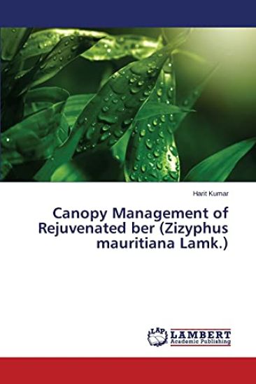 Canopy Management of Rejuvenated ber (Zizyphus mauritiana Lamk.)