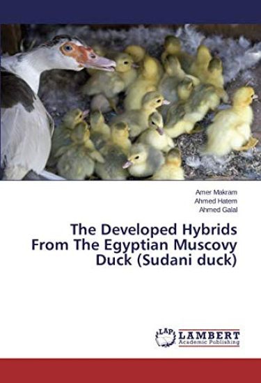 The Developed Hybrids From The Egyptian Muscovy Duck (Sudani duck)