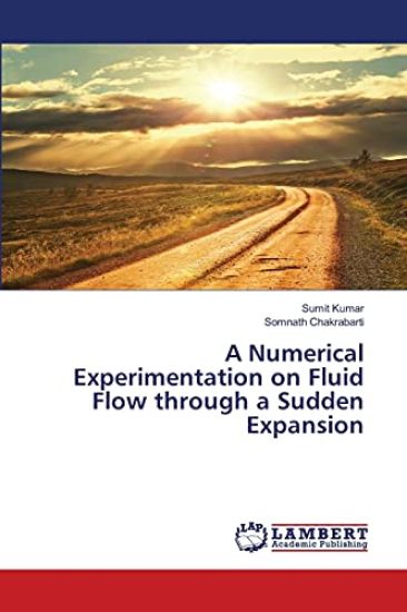 A Numerical Experimentation on Fluid Flow through a Sudden Expansion