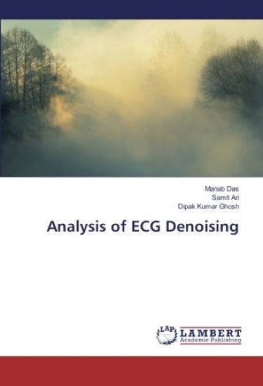 Analysis of ECG Denoising