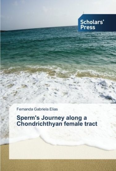 Sperm's Journey along a Chondrichthyan female tract