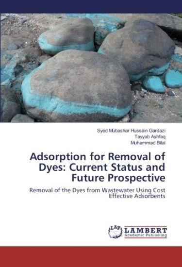 Adsorption for Removal of Dyes: Current Status and Future Prospective