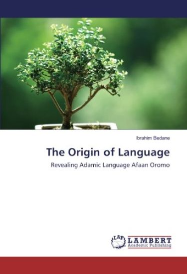 The Origin of Language