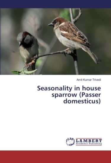 Seasonality in house sparrow (Passer domesticus)