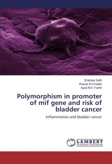 Polymorphism in promoter of mif gene and risk of bladder cancer