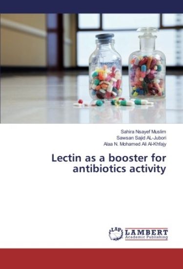 Lectin as a booster for antibiotics activity