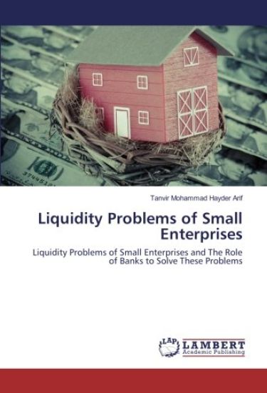 Liquidity Problems of Small Enterprises