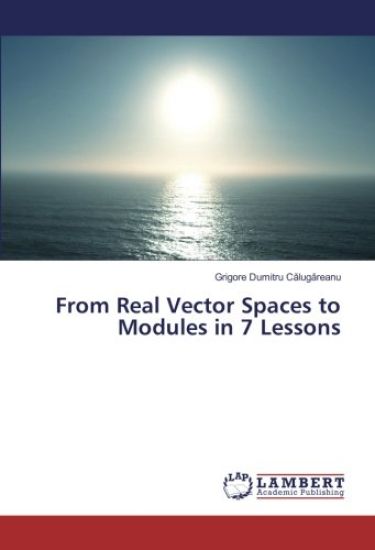 From Real Vector Spaces to Modules in 7 Lessons