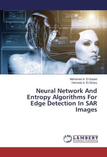 Neural Network And Entropy Algorithms For Edge Detection In SAR Images