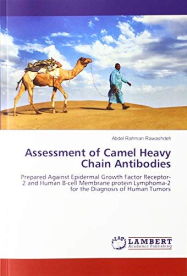 Assessment of Camel Heavy Chain Antibodies