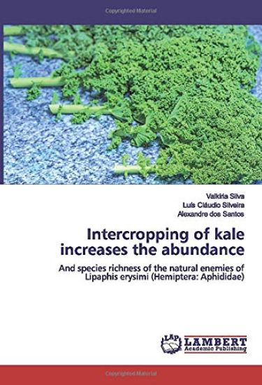 Intercropping of kale increases the abundance