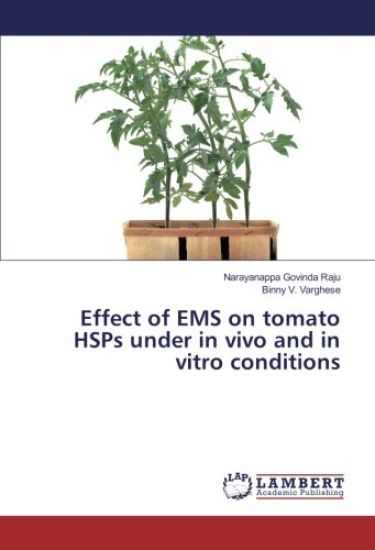 Effect of EMS on tomato HSPs under in vivo and in vitro conditions