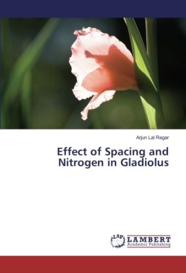 Effect of Spacing and Nitrogen in Gladiolus
