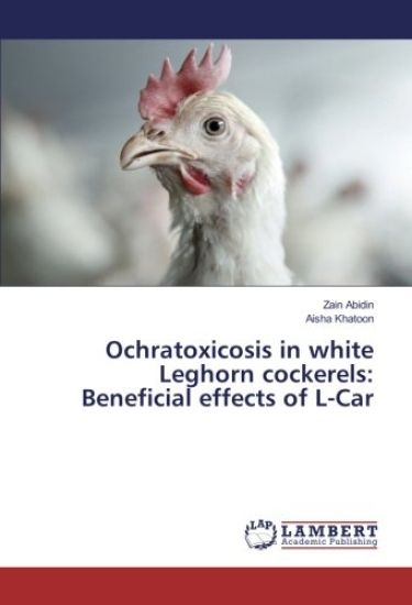 Ochratoxicosis in white Leghorn cockerels: Beneficial effects of L-Car