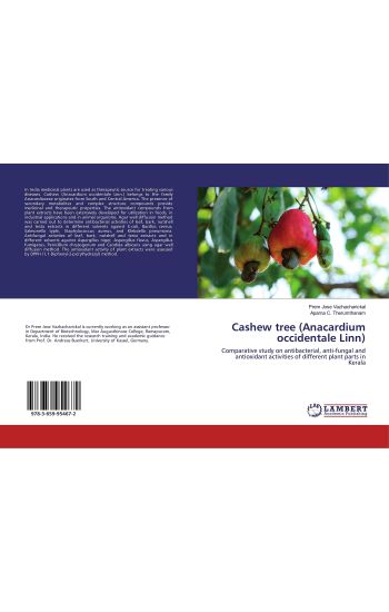 Cashew tree (Anacardium occidentale Linn)