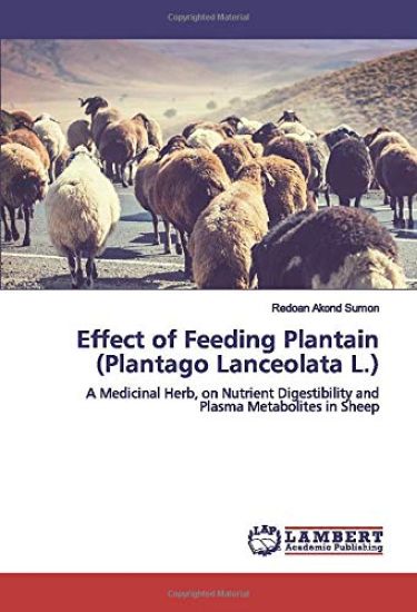 Effect of Feeding Plantain (Plantago Lanceolata L.)