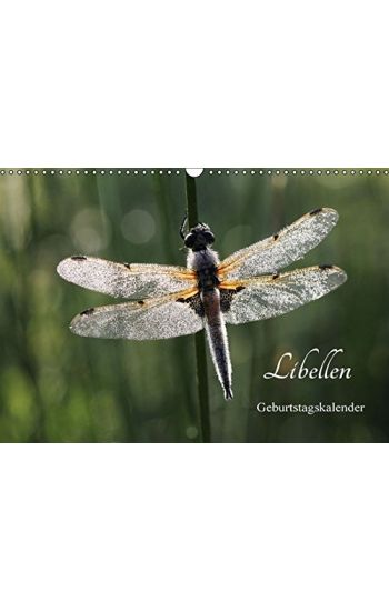 Libellen  Geburtstagskalender (Wandkalender immerwährend DIN A3 quer)