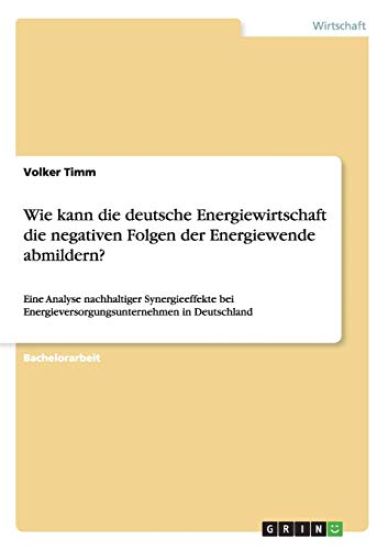 Wie kann die deutsche Energiewirtschaft die negativen Folgen der Energiewende abmildern?