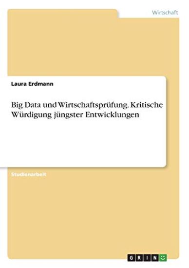 Big Data und Wirtschaftsprüfung. Kritische Würdigung jüngster Entwicklungen