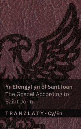 Yr Efengyl yn ôl Sant Ioan / The Gospel According to Saint John (Y Beibl / The Bible)