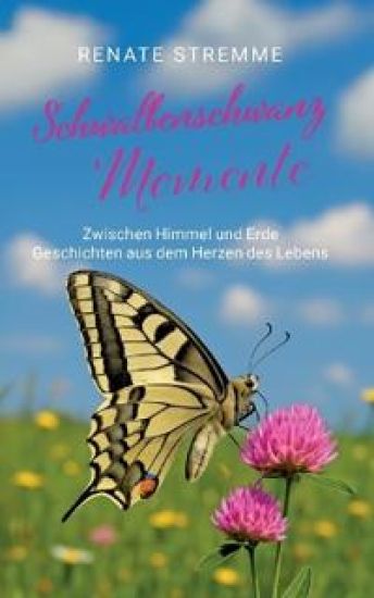 Schwalbenschwanz Momente