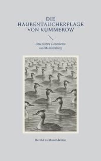 Die Haubentaucherplage von Kummerow