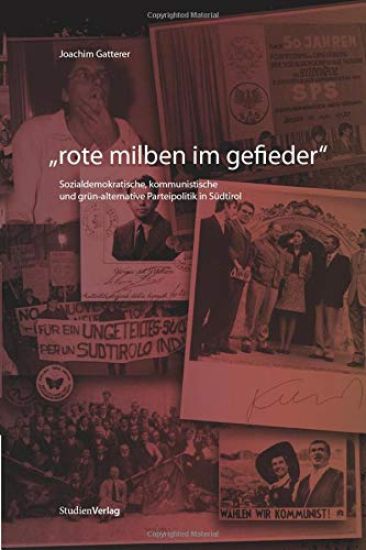 Rote Milben im Gefieder