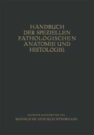Harnorgane Männliche Geschlechtsorgane