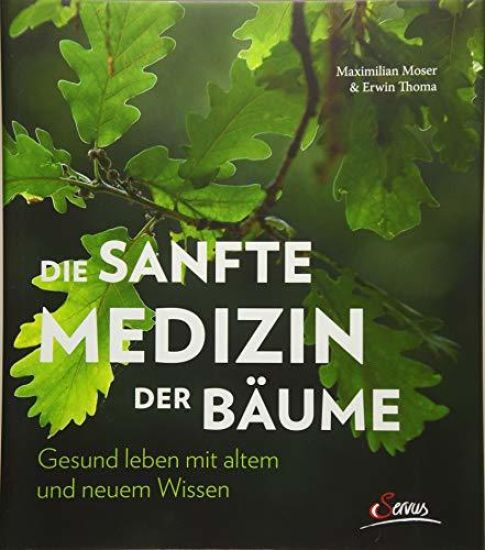 Die sanfte Medizin der Bäume