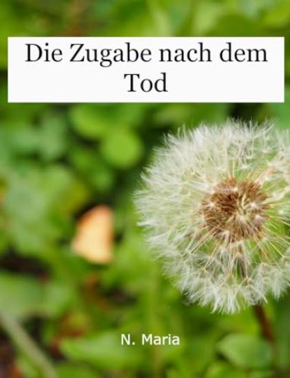 Die Zugabe nach dem Tod. Life is a Story - story.one
