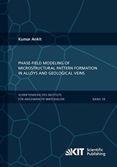 Phase-field modeling of microstructural pattern formation in alloys and geological veins
