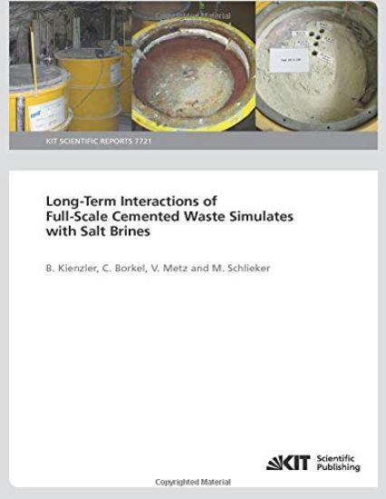 Long-Term Interactions of Full-Scale Cemented Waste Simulates with Salt Brines