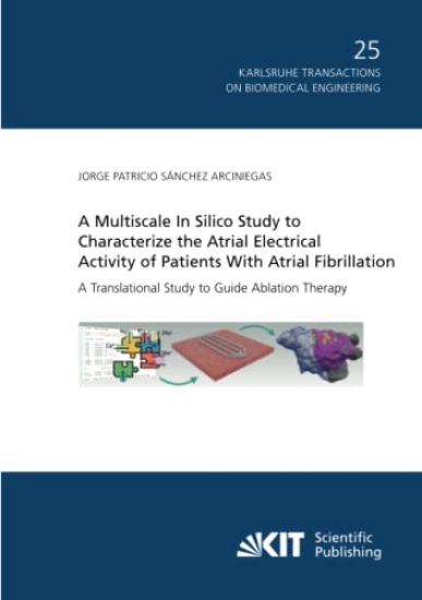 A Multiscale In Silico Study to Characterize the Atrial Electrical Activity of Patients With Atrial Fibrillation : A Translational Study to Guide Ablation Therapy