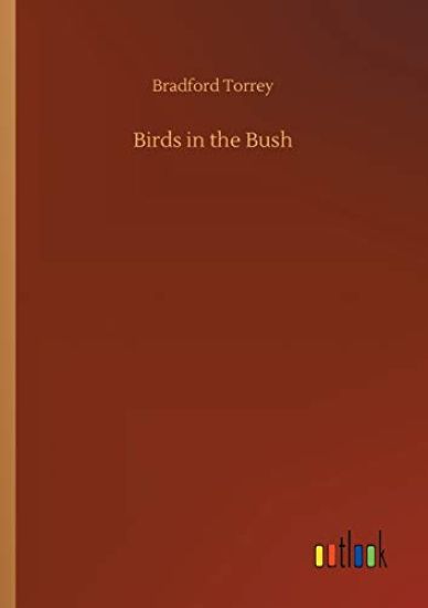 Birds in the Bush