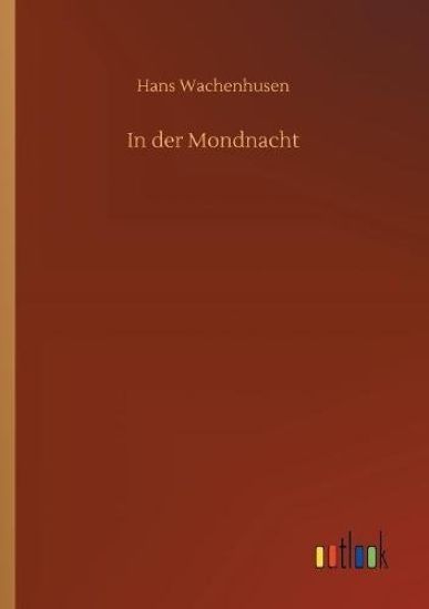 In der Mondnacht