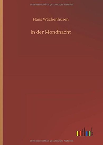 In der Mondnacht