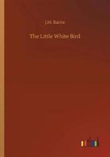 The Little White Bird